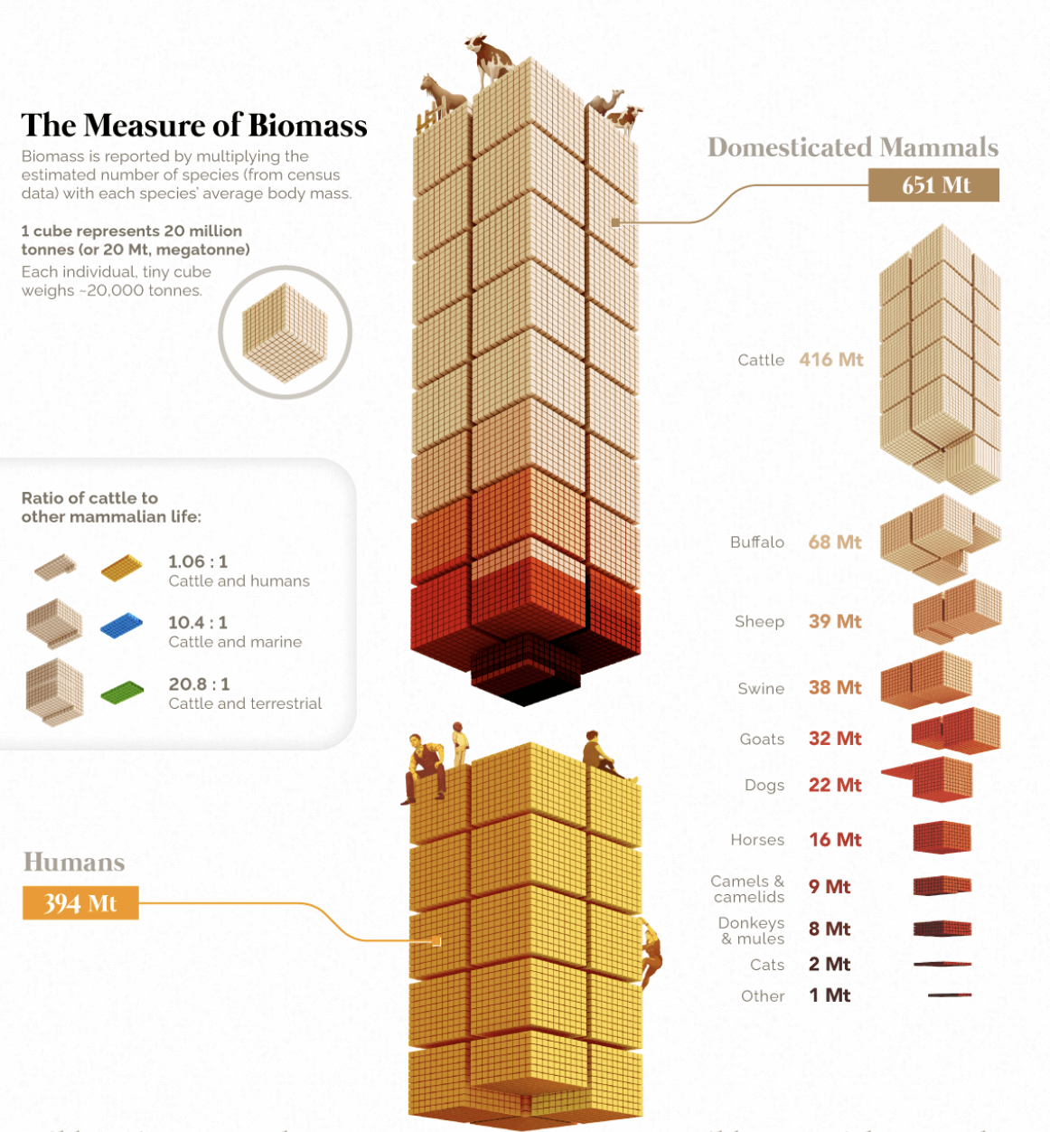 Global Biomass